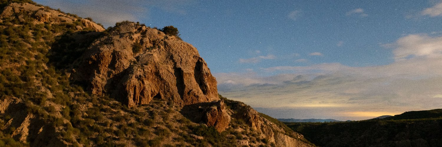 Davide Mancini banner