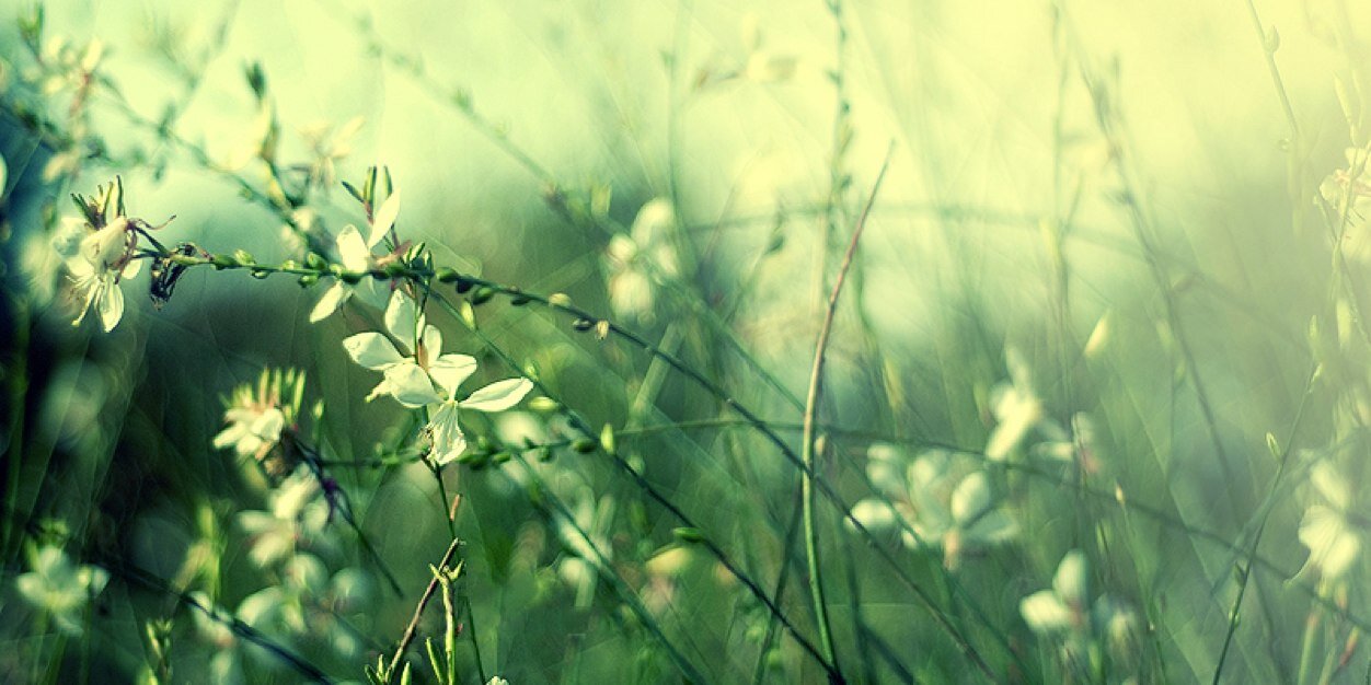 taaa_2's profile banner image