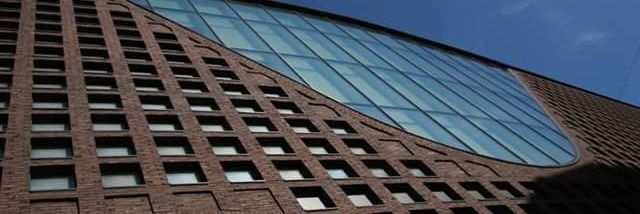 Madeleine Still banner