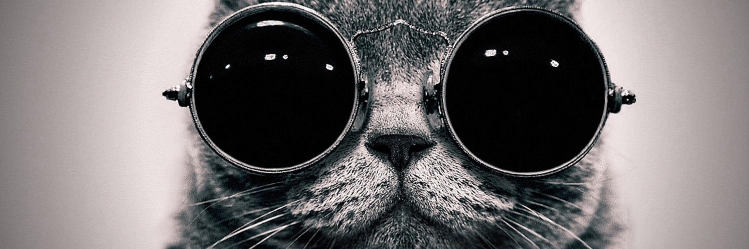 hvinnaaaa's profile banner image