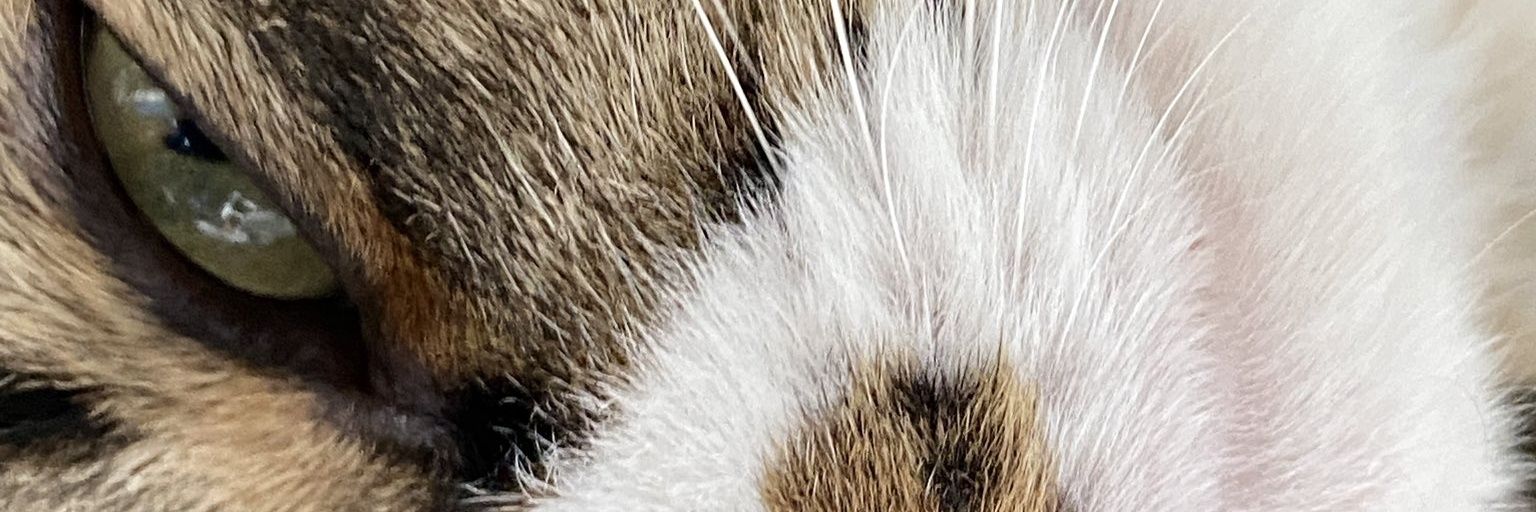 nyos88's profile banner image