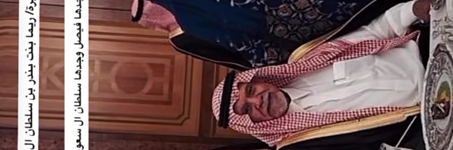 3zoz_2's profile banner image