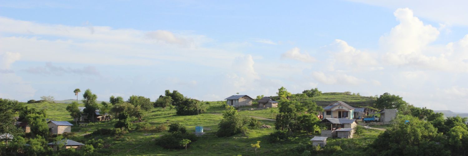 Puansarigar banner