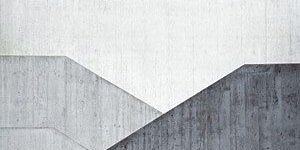 syagini r banner