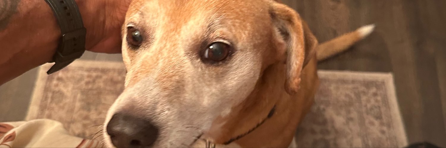 soaringlil48's profile banner image