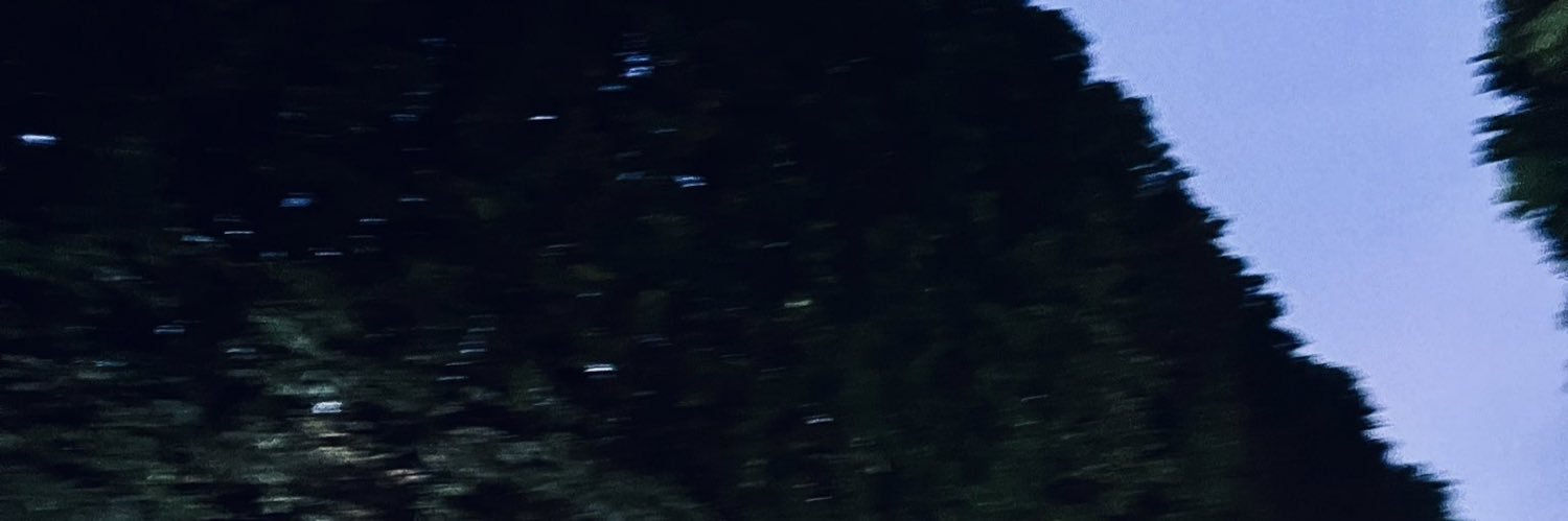 patsamson_'s profile banner image