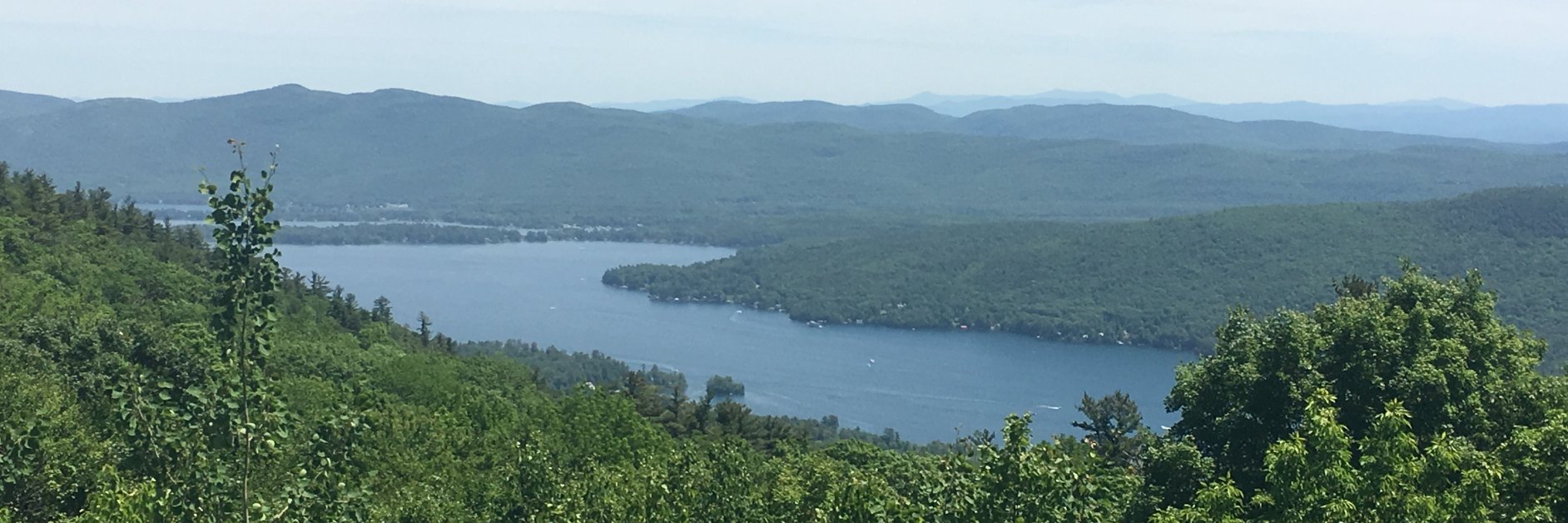 Gina Mintzer CMP MHA banner