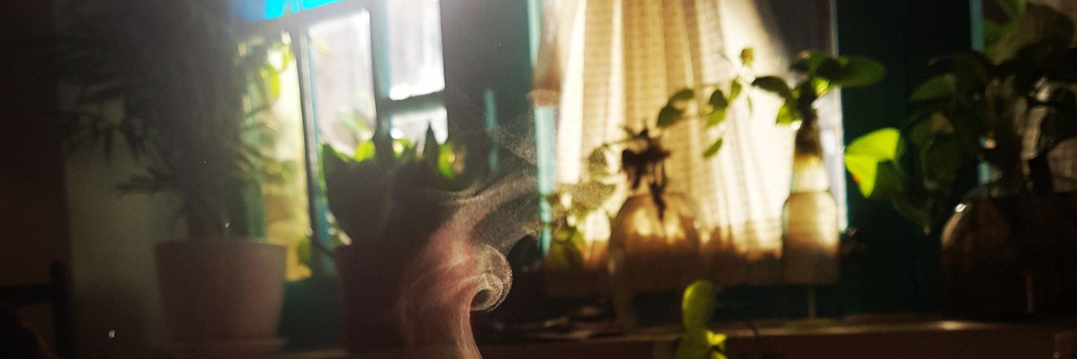 Beatrixsblade's profile banner image