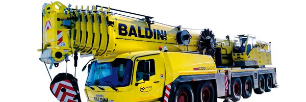 Baldini Group Profile Banner