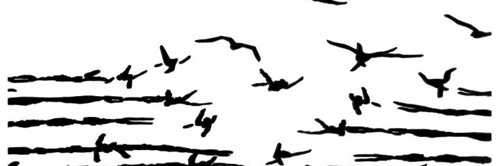 ddbolger's profile banner image