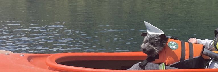 なかざわ とも banner