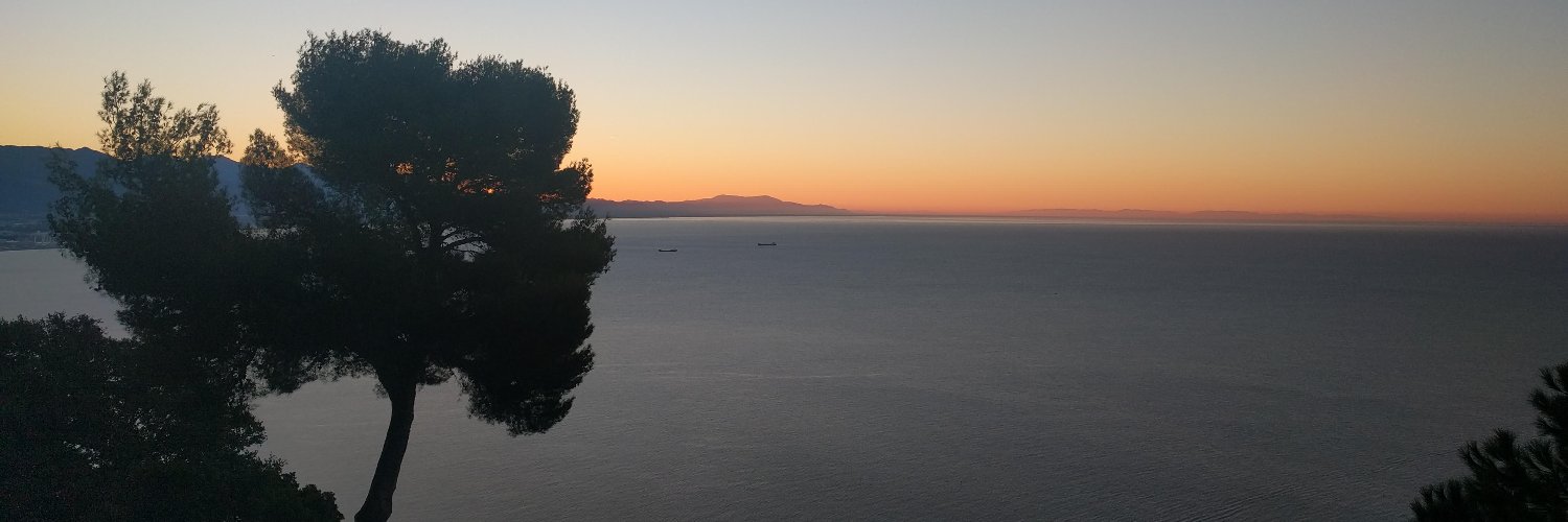 fgiberti's profile banner image