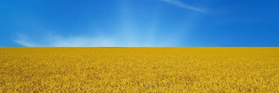 Oil_GasEngineer's profile banner image