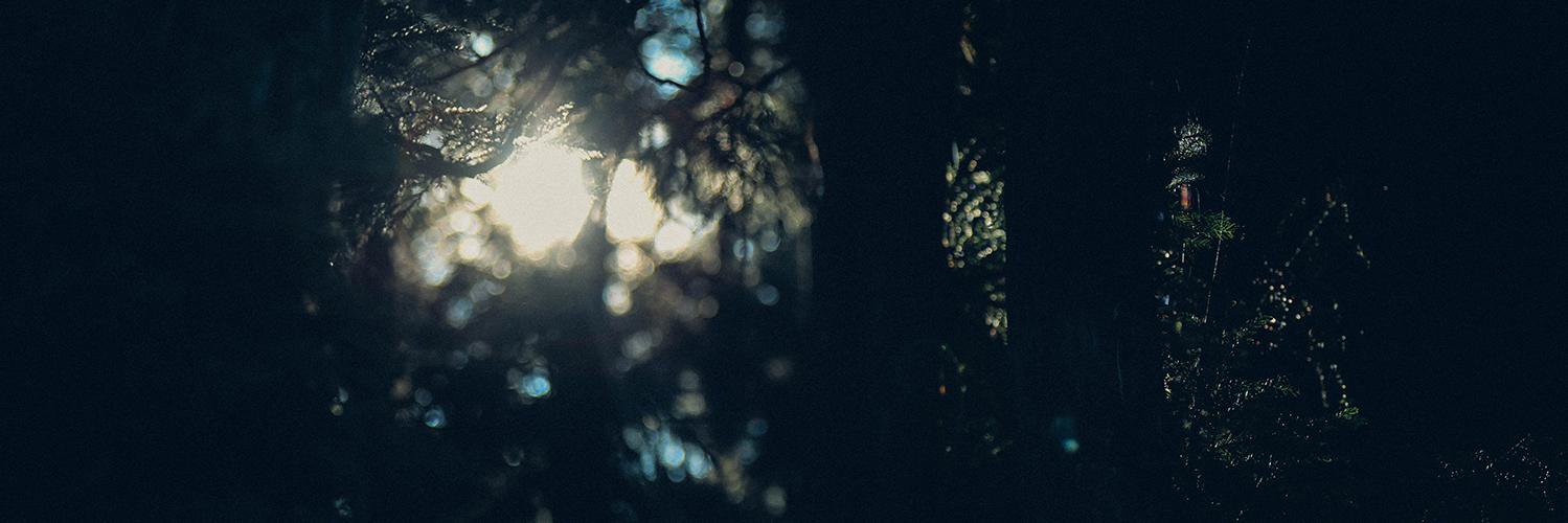 may_R5's profile banner image