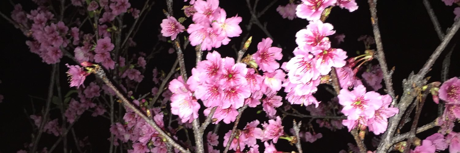 2525_kuu's profile banner image