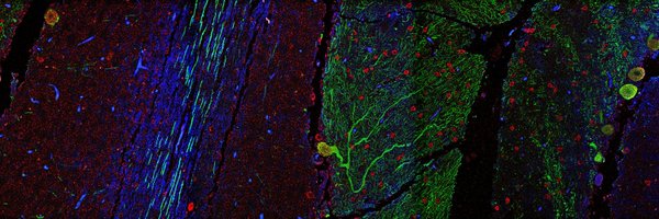 TexasScience Profile Banner