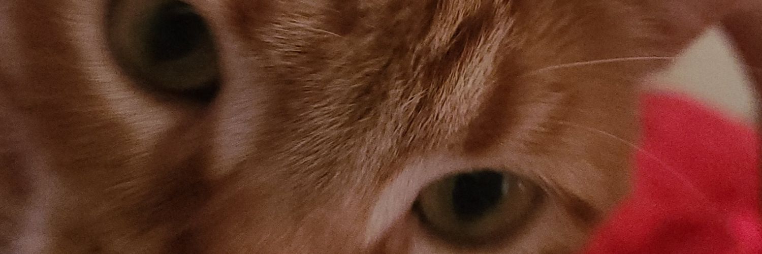 Blake 'You_N_Me' banner