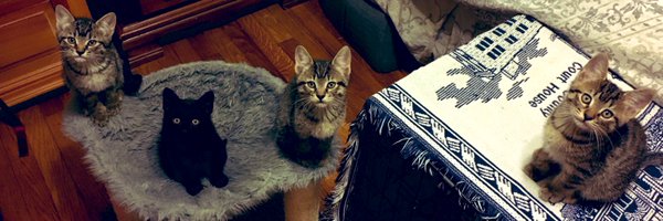 hilbillionaire Profile Banner