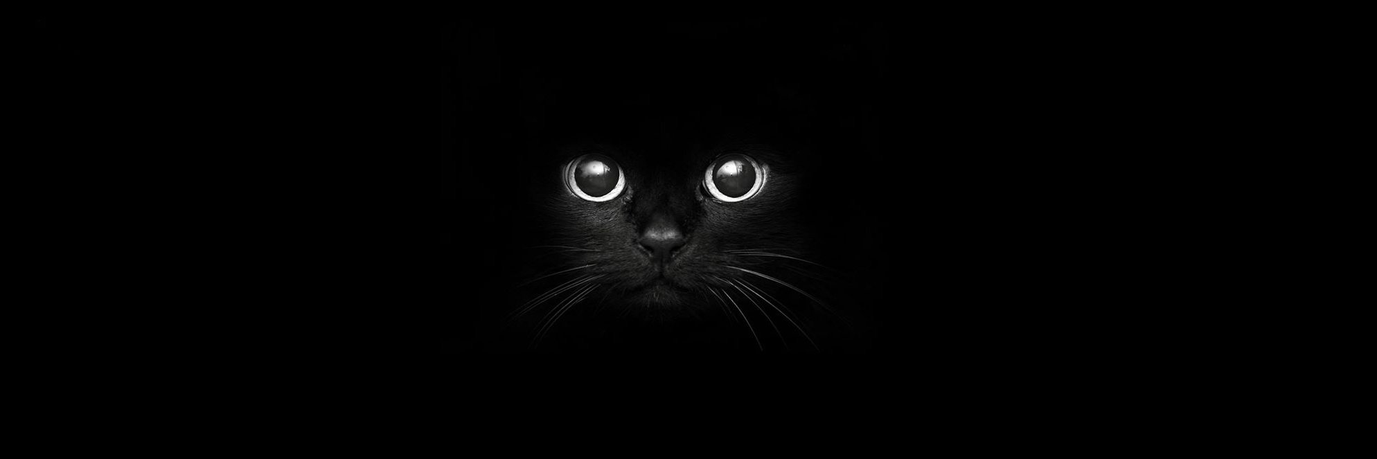 AudioSurgeon's profile banner image