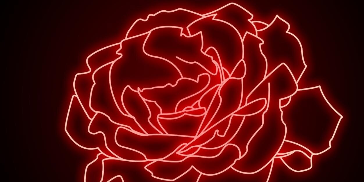 Lara_CMHarris's profile banner image
