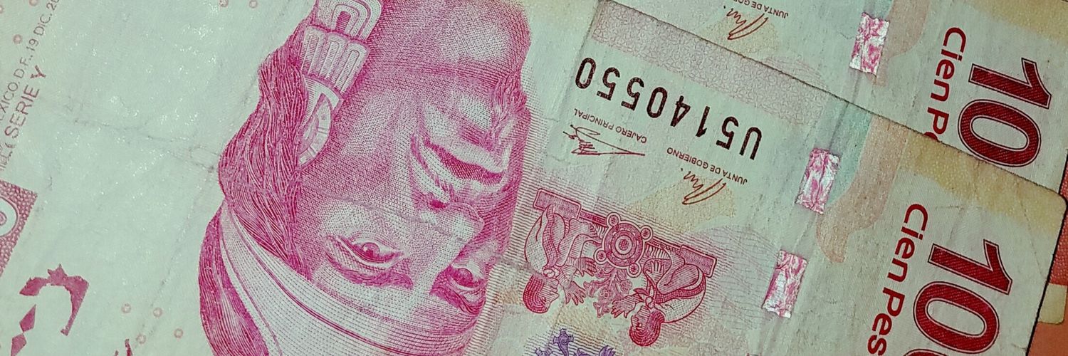 PynkCookeez's profile banner image