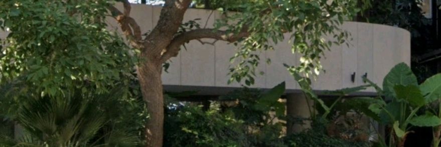 AlejaCamposM's profile banner image