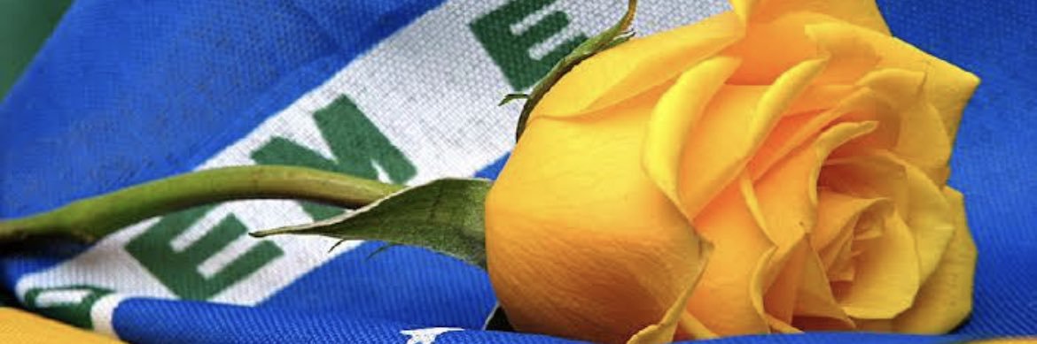 LuLuka2505's profile banner image