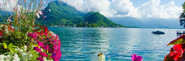 suzcat12 Profile Banner