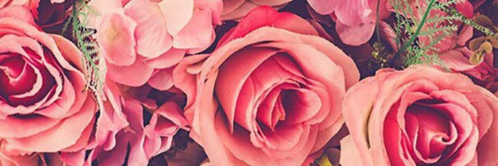 rinicesillia's profile banner image