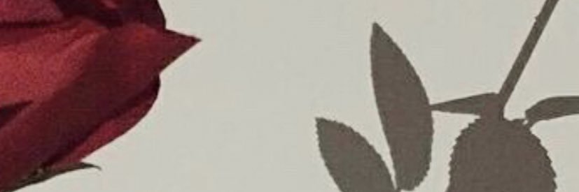 2010nooonah's profile banner image