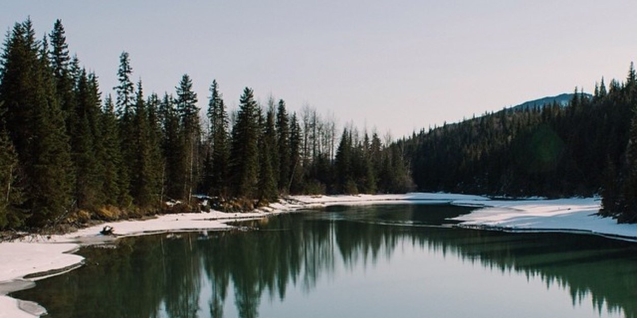 ellkylie4's profile banner image