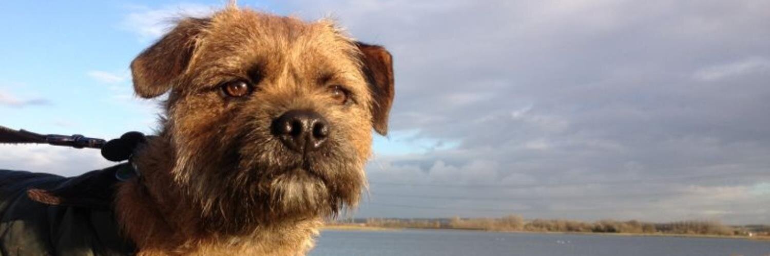 Baxter_Border's profile banner image