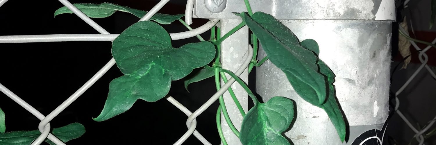 不慮 banner