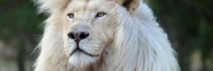 realDavidIfy's profile banner image