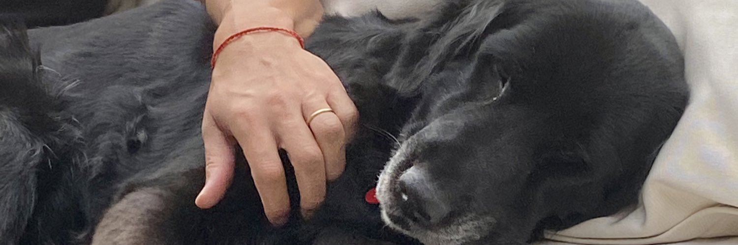 piamorna's profile banner image