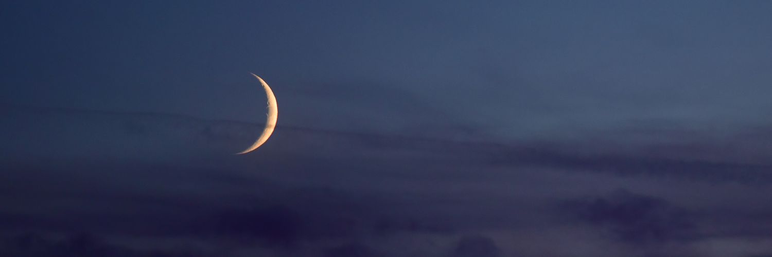 Burkkis's profile banner image