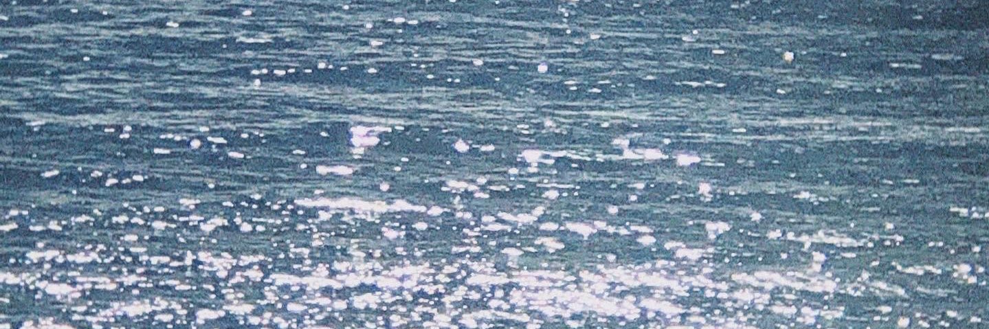 nalulisbeck's profile banner image