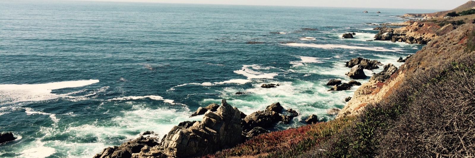 Danielle Snyder banner