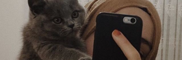 phikaimk's profile banner image