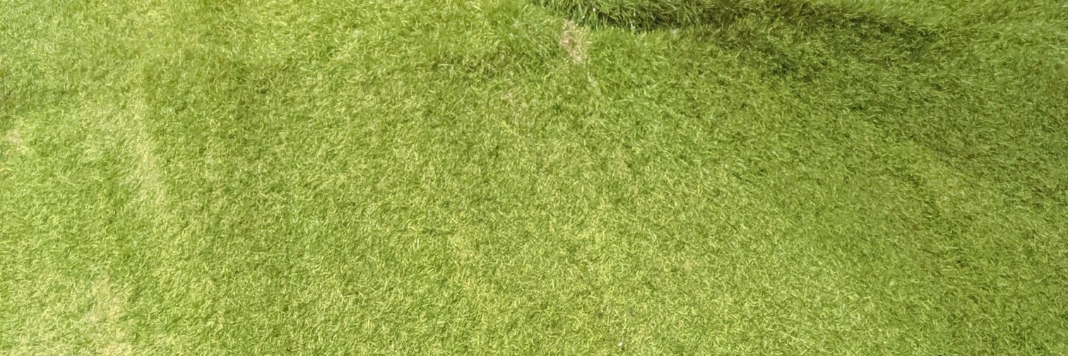 FredyDjess's profile banner image