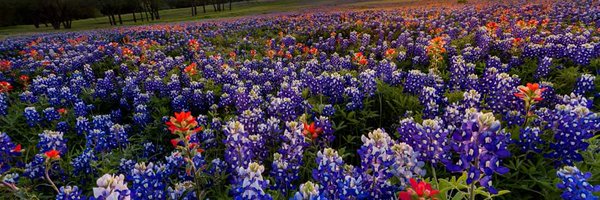 peep68 Profile Banner