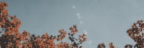 RNafarin's profile banner image