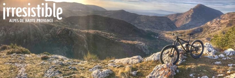 VTTez04's profile banner image