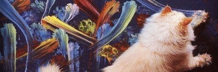 peblopa's profile banner image