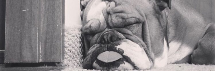 FernandoAFlorez's profile banner image