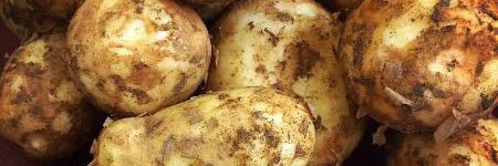 TOTAL CORNWALL banner