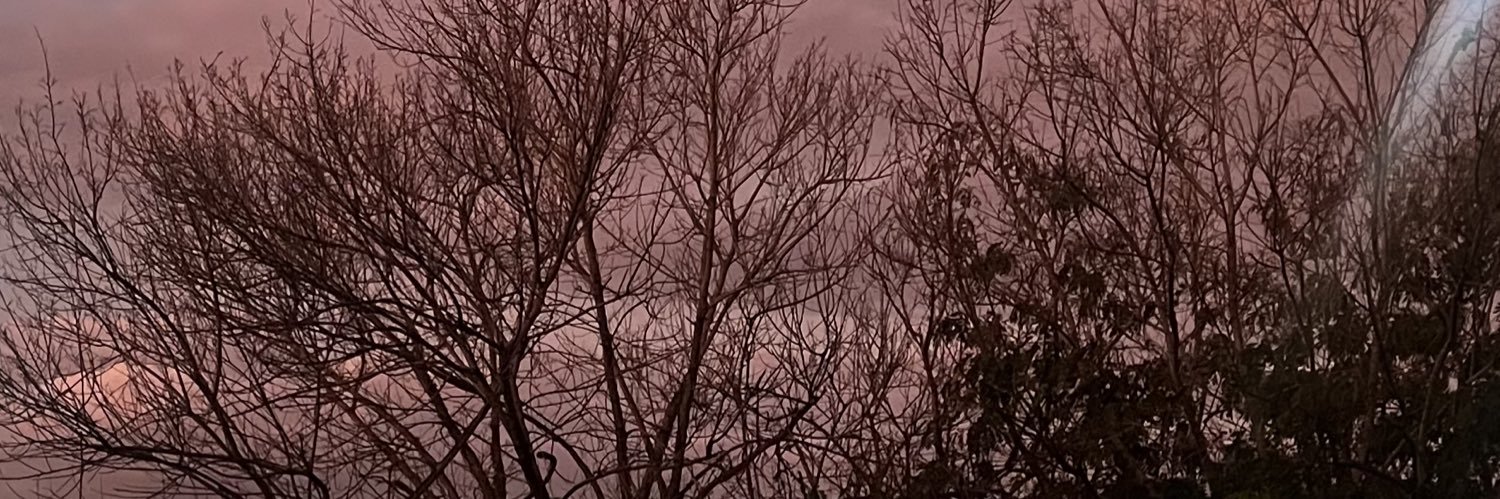Ana Helena de Freitas banner