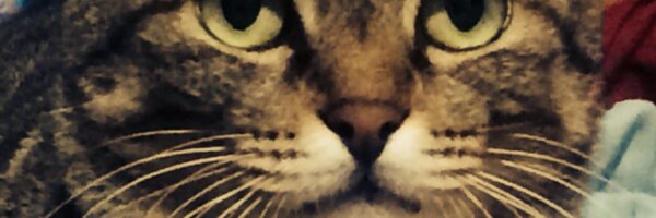 initial_a_ Profile Banner