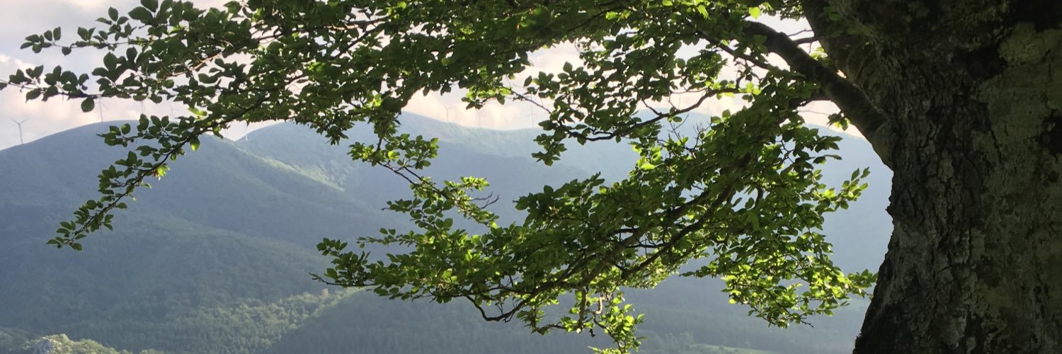 Jennastepp's profile banner image