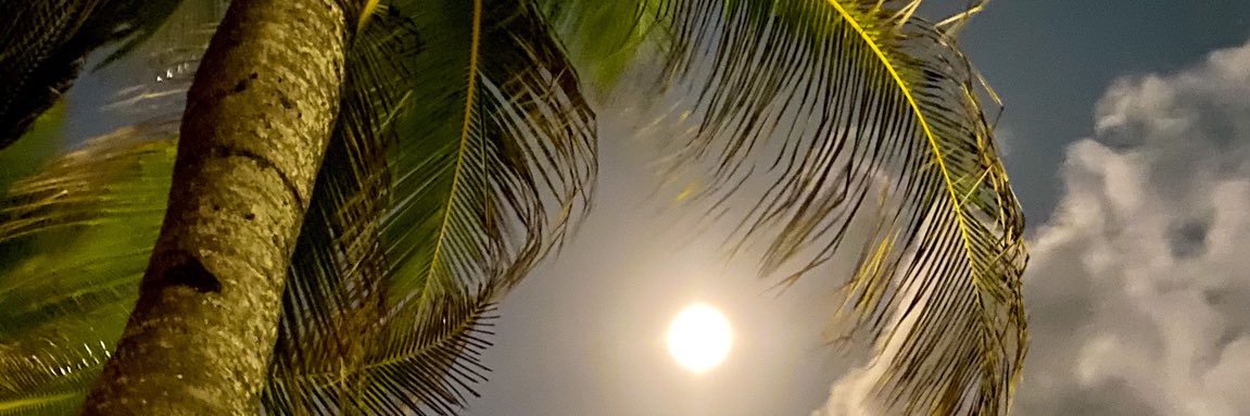 niafaiz's profile banner image